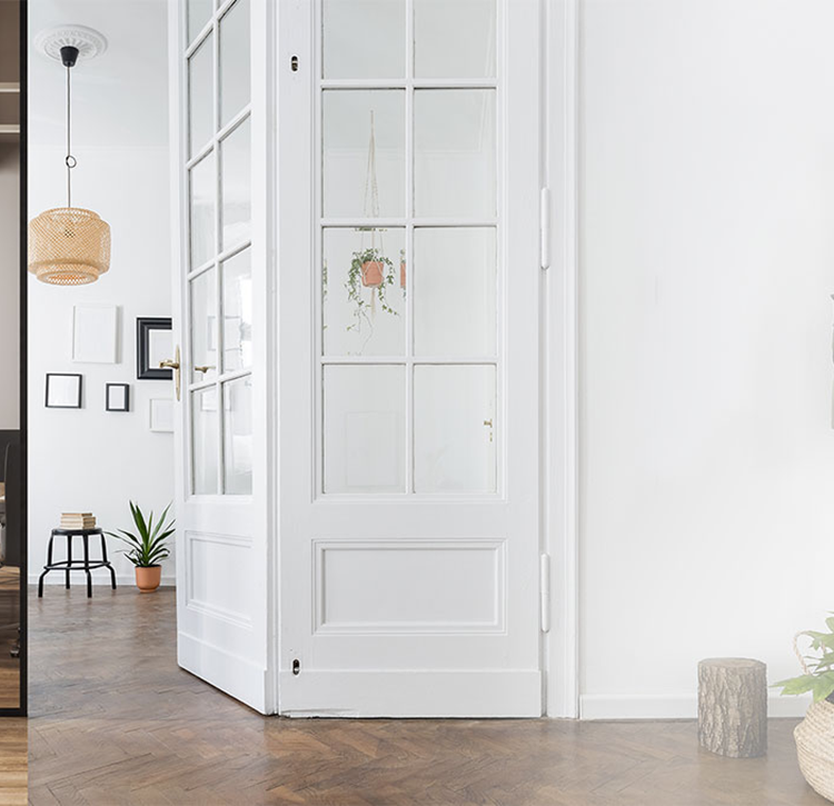 Residential and Commercial Pest Control